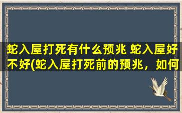 蛇入屋打死有什么预兆 蛇入屋好不好(蛇入屋打死前的预兆，如何避免蛇入家中，如何处理蛇类侵入？)